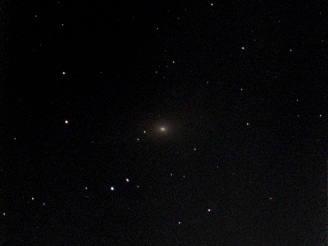 M81